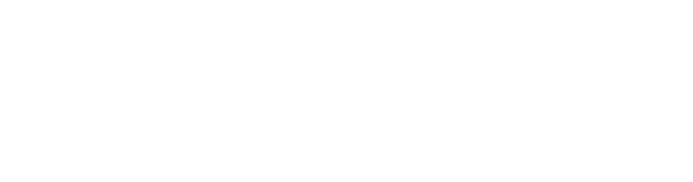MedicareMinis